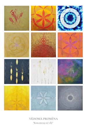 Vědomá proměna II