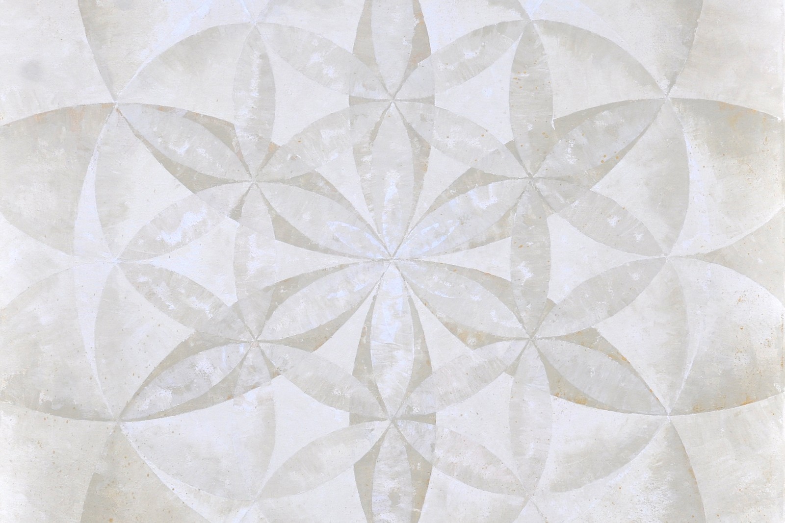 živoTvorba - obrazy